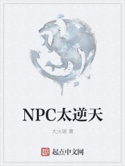 NPC太逆天