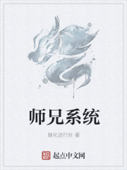 师兄系统